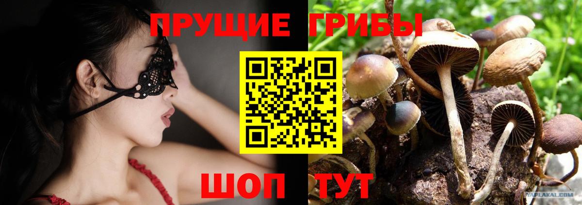 Галлюциногенные грибы прущие грибы  купить наркотик  Галлюциногенные грибы Cubensis  Верхняя Пышма  Вход с VPN 