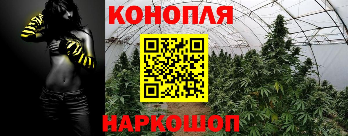 МАРИХУАНА SATIVA & INDICA Верхняя Пышма